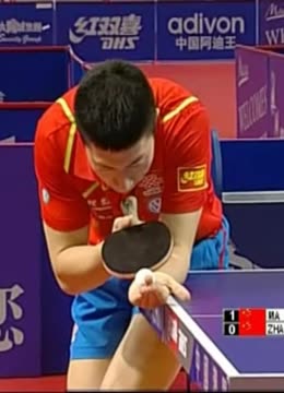 追随美国的 追随美国的