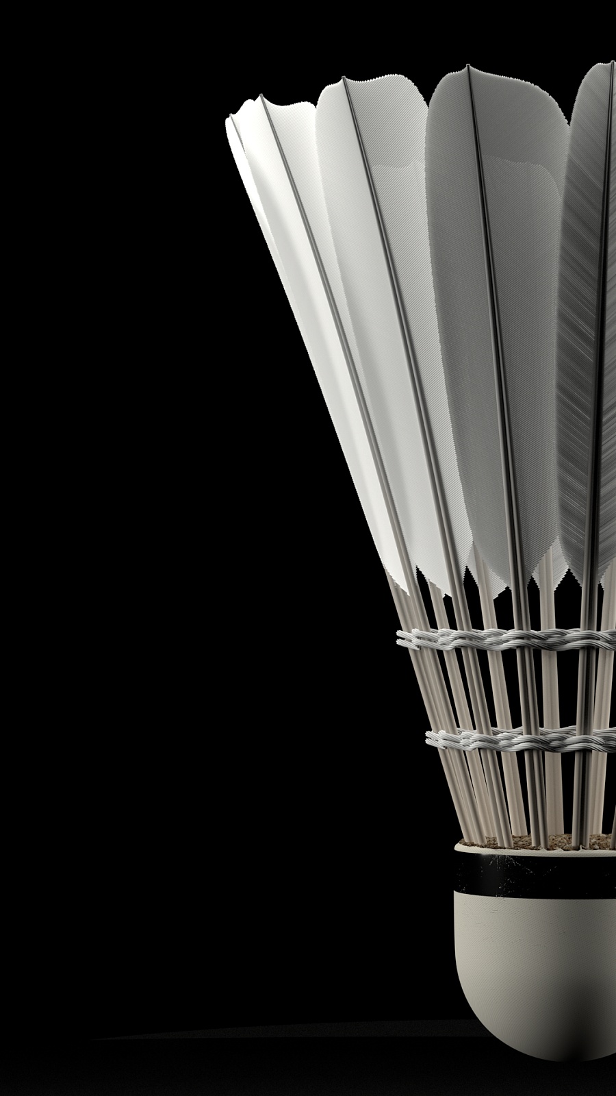 权和轮换球 权和轮换球