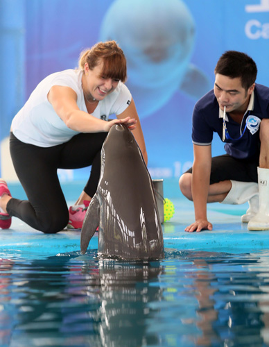 周常挑战 周常挑战